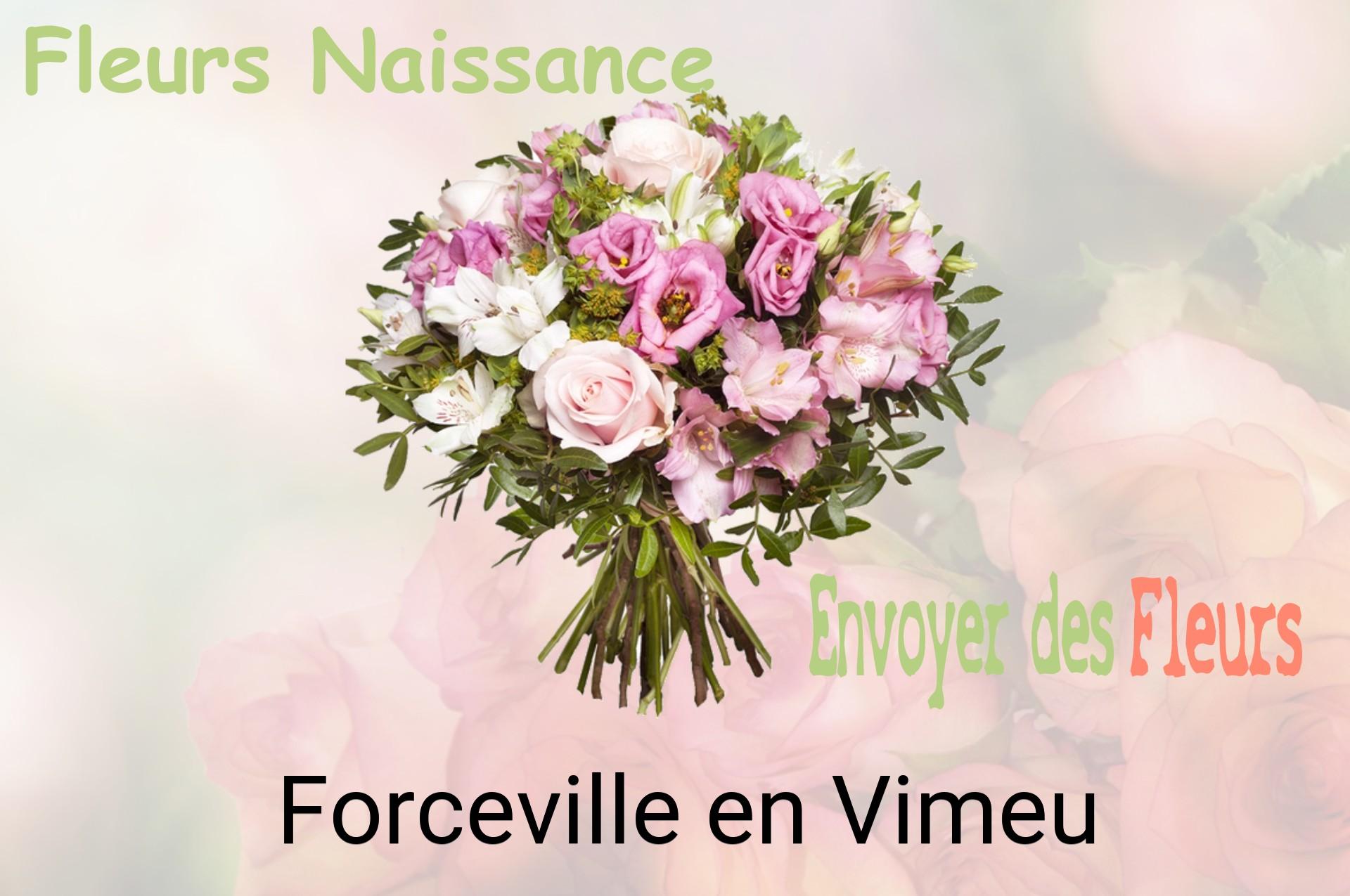 Bouquet de fleurs de naissance livré à Forceville-en-Vimeu
